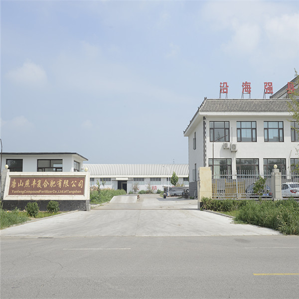 bevictor伟德复合肥厂区门口